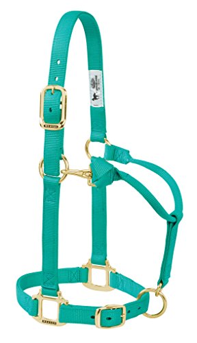 Weaver Leather Original Adjustable Nylon Horse Halter, Yearling, Emerald Green