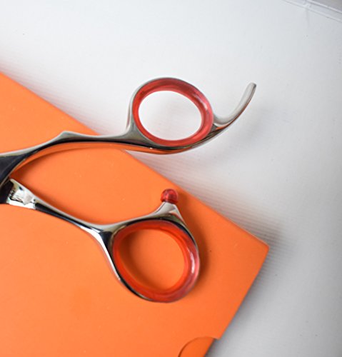 Professional Hair Cutting Scissors/Shears 6.0" Convex Edge Blade Japanese Process Stainless Steel Shears (6.0" cutting) - style: 6.0 Inch