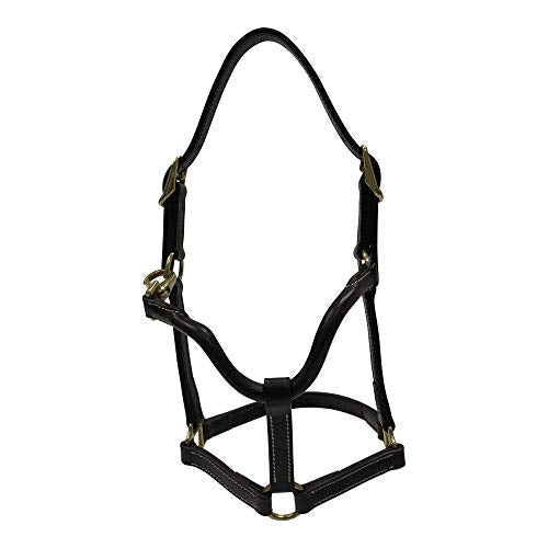 Huntley Equestrian Fancy Stitched Adjustable Premium Leather Pony Halter Elegant & Durable With Brass Hardware, Adjustable Crown Piece - Brown
