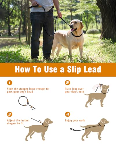 Dog Leash Slip Lead Braided Rope Pet Training Loop Leashes 5ft 6ft 8ft - color: Black
