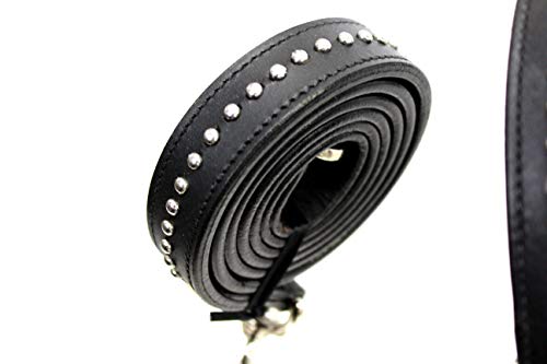 Derby Originals New and Improved Premium Show Spotted Flat Leather Cattle Show Halter with Matching Chain Lead - color: Havana, size: Large (950lbs-1500lbs)