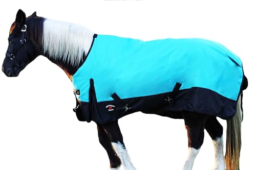 Challenger 1200D Horse Turnout Waterproof Heavy Weight Winter Blanket 5EE10G - color: Turquoise/Black, size: 76 inches