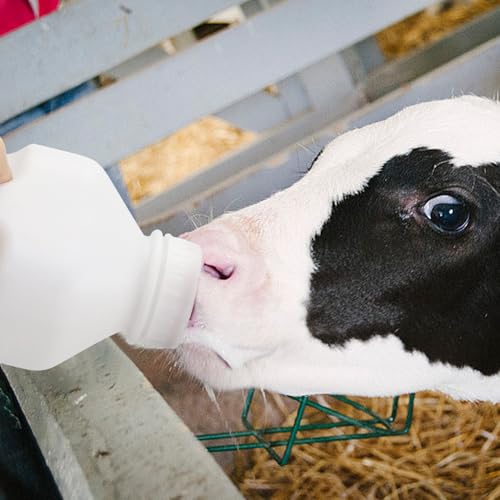 Calf Bottle with a Replacement Screw-on Nipple 2.11quart Lamb Milk Feeding Bottle for Lamb foal