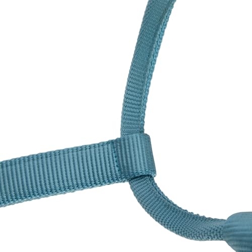 Shires ARMA Adjustable Nylon Halter - color: Teal, size: Full
