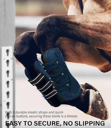 4/Pack Horse Jumping Boots, Open Front & Fetlock Boots for Jumping - color: Navy