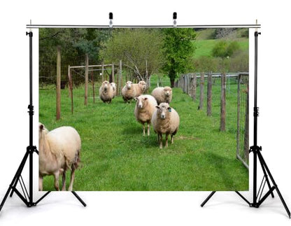 10x8ft Fabric Wool Sheep Herd Backdrop Fluffy White Ewe Lush Green Pasture Wire Fence Spring Tree Photography Background Tapestry Farm Wildlife Animal Decorations Photo Booth Props - size: 10x8ft