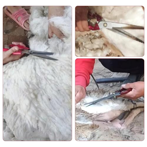 Sheep Shears Manual Stainless Steel Spring Loaded Wool Clipping Scissors