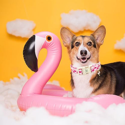 Elegant little tail Dog Collar-Cute Pet Dog Collar Pink Flamingos Print Cotton Soft Girl Puppy Adjustable Pet Collars for Small Medium Large Dogs - color: Flamingo, size: X-Small (Pack of 1)
