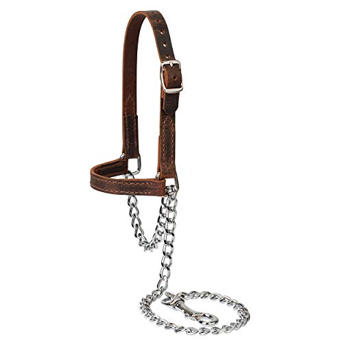 Weaver Leather Livestock Water Buffalo Leather Goat Halter, Large, Assorted Colors (80100-60-64)