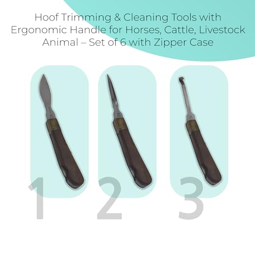Professional Hoof Knife and Claws Interchangeable Stainless Steel Kit – Hoof Trimming & Cleaning Tools with Ergonomic Handle for Horses, Cattle, Livestock Animal – Set of 6 with Zipper Case