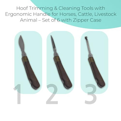 Professional Hoof Knife and Claws Interchangeable Stainless Steel Kit – Hoof Trimming & Cleaning Tools with Ergonomic Handle for Horses, Cattle, Livestock Animal – Set of 6 with Zipper Case