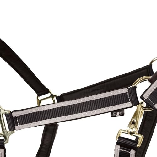 Schneiders Padded Reflective Breakaway Halter for Horses | Adjustable Fit | Safety Leather Tab | Night-Time Visibility - size: Oversize