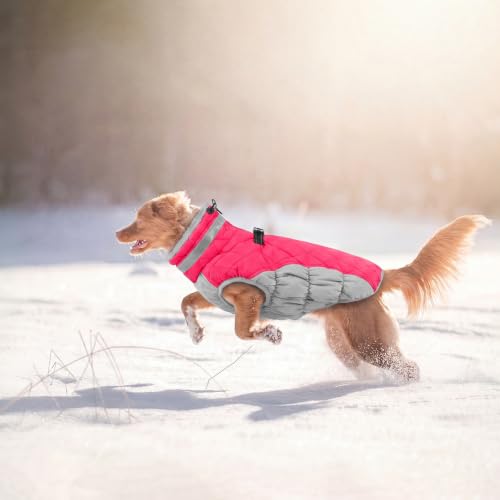 Lelepet Dog Coat Warm Dog Winter Coat Waterproof Dogs Jacket with Harness - color: Neon Pink, size: X-Small