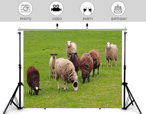 4x4ft Fabric Herd Sheep Green Meadow Backdrop Mixed Wool Sheep Lush Fresh Grass Pasture Bright Overcast Sky Photography Background Tapestry Farm Animal Decorations Photo Booth Props - size: 4x4ft