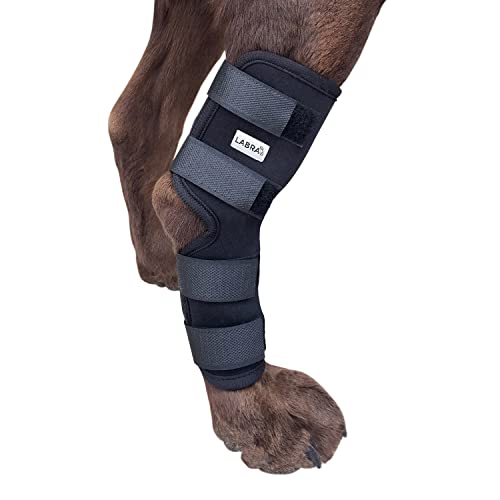 Labra Dog Rear Leg Hock Joint Compression Wrap - Supportive Brace for Weak Back Legs, ACL Tear, and Joint Discomfort - Adjustable Hind Leg Support for Senior Dogs - Medium - size: Medium