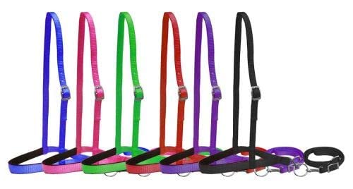 Showman Premium Nylon Noseband Tie Down w/Strap - color: Black