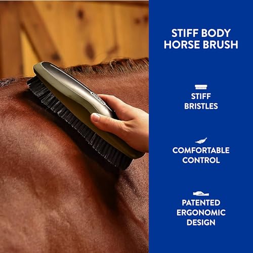 Wahl Professional Animal Equine Stiff Body Horse Brush, 858705, Black - color: Black