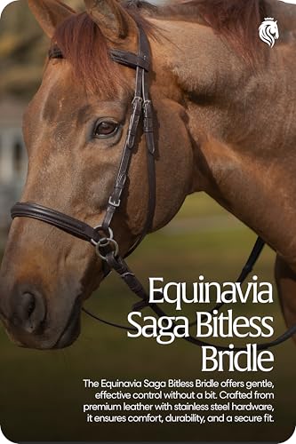 Equinavia Saga Leather Horse English Bridle, Stainless Steel Hardware Reins - color: Chocolate Brown, size: Warmblood