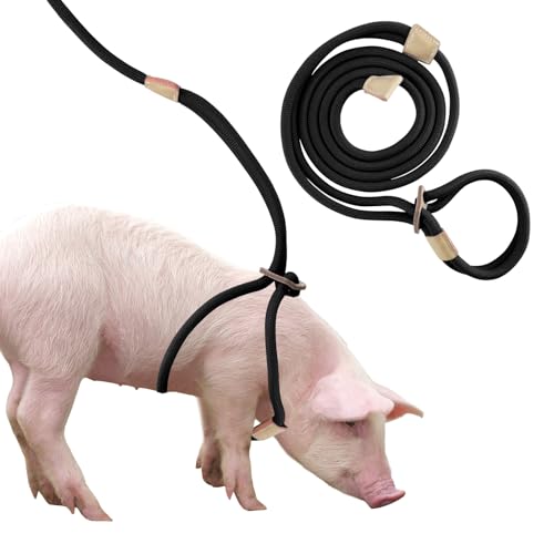 Mini Pig Harness & Leash, Adjustable 8 Feet Long Rope for Small to Medium Pet Pigs - color: Black