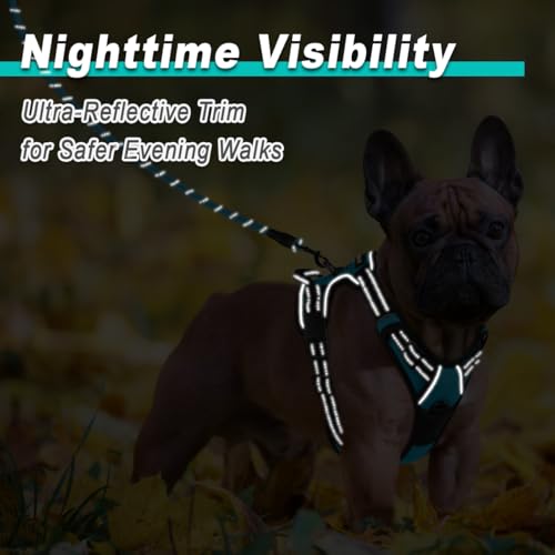BARKBAY Dog Harness for Small Sized Dog No Pull 2 Leash Clips Dog Vest - color: Blue, size: X-Small