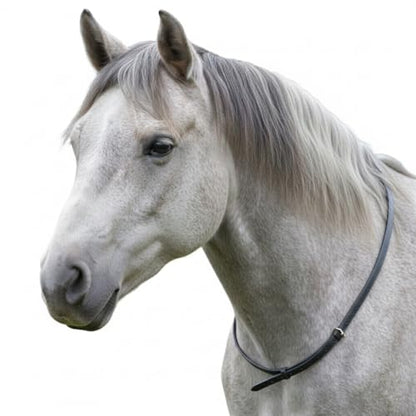 Leather Neck Grab Strap – Horse Riding Balance Aid for Pony, Cob & Full Size