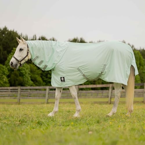 Equinavia Brisk Mesh Horse Fly Sheet with Neck Coverage, UV Protection - color: Misty Jade, size: 75 in