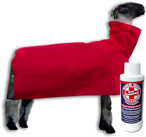 Show Pro Red Sheep Blanket - Nylon Mesh with Adjustable Strap - Lamb Size 30+ lbs - Sunburn & Fly Bite Protection - Made in USA - size: Large