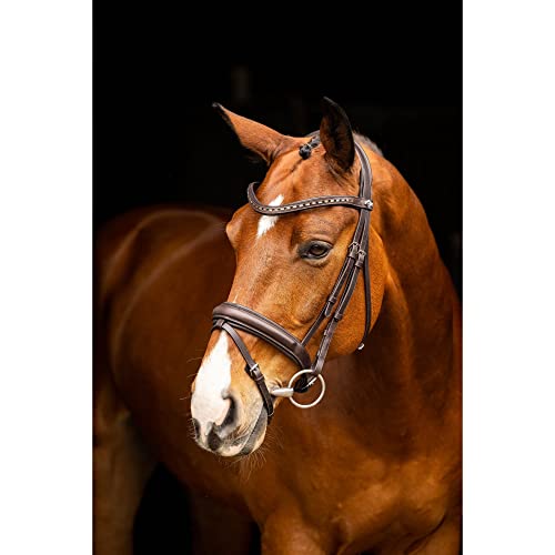 LeMieux Arika Dressage Bridle - color: Brown/Silver, size: X-Full