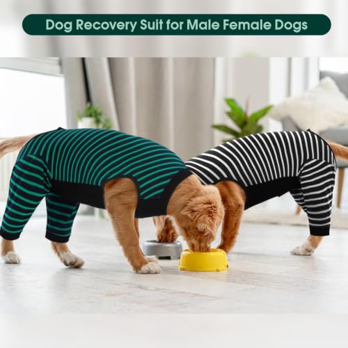 Kuoser Dog Recovery Suit with Anti Licking Rear Leg Sleeve, Green M - color: Green Strips, size: Medium (Back Length: 34cm / 13.38")