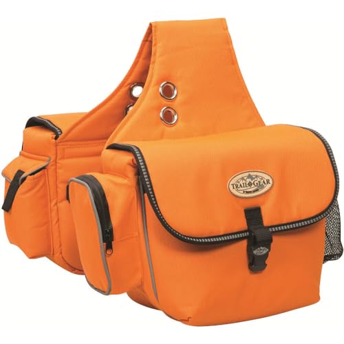 Weaver Equine Trail Gear Saddle Bags - color: Teal, size: 11" x 4" x 8.5"
