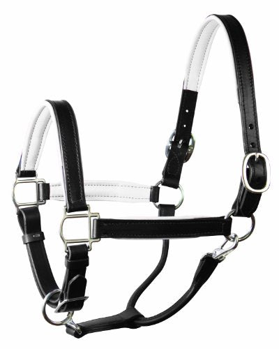 Perri's Soft Padded Leather Halter - color: Black/White, size: Cob