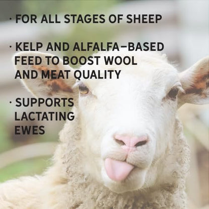 New Country Organics | Sheep Feed for Lactating Ewes and General Maintenance | Soy-Free | 13% Protein | Certified Organic and Non-GMO | 40 lbs Bag