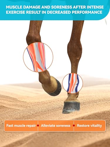 Natural Vitamin E & Selenium for Horses Muscle Build Support for Active Horses Equine Vitamin E Powder Supplement 100-Day Supply