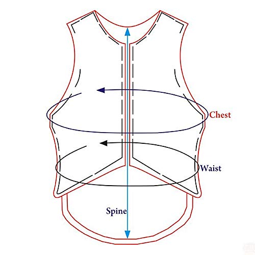 HILASON Rodeo Safety Vest Protective Gear for Equestrian Riders Men Women - size: Medium
