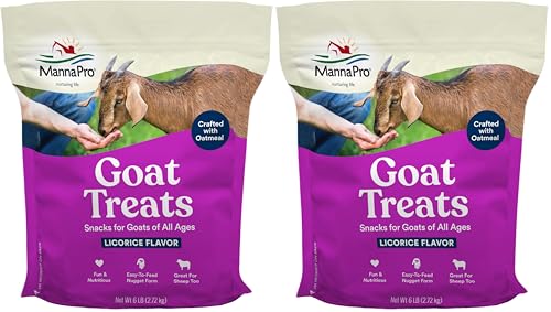 Manna Pro Goat Treats, Licorice Flavor, Nutritious Goat Snacks with Oatmeal, Great-Goat Supplements Alternative, Ideal for Goats, Sheep & Small Livestock, 6 lb (Pack of 2) - size: 6 Pound (Pack of 2)