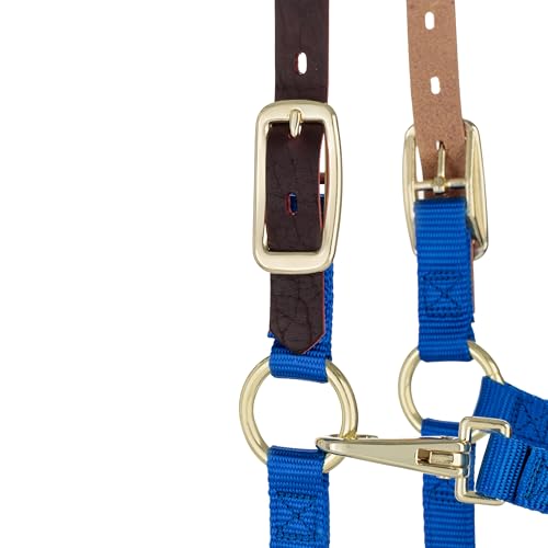 Weaver Leather Adjustable Breakaway Nylon Horse Halter, Blue, Weanling/Pony