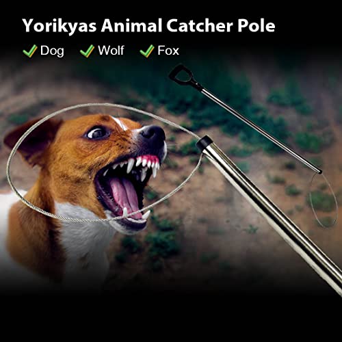 Yorikyas Animal Catch Pole Control Tool Kit -44 inch