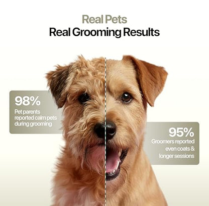 Hornet 5-in-1 Cordless Dog Clippers - Low Noise Pet Grooming, Grey | Precision trimmer for shaping and styling dogs and cats, with a detachable blade that adjusts across five cut settings