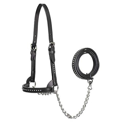Derby Originals New and Improved Premium Show Spotted Flat Leather Cattle Show Halter with Matching Chain Lead - color: Black, size: Large (950lbs-1500lbs)