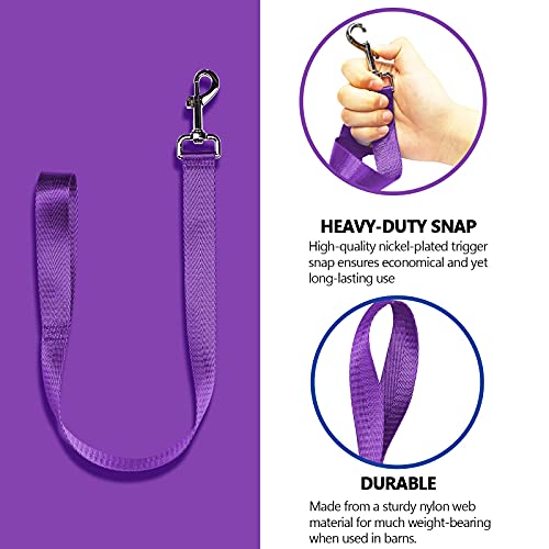 Harrison Howard 4PCS 22” Easily Packed Sturdy Nylon Bucket Straps for Hay Nets and Water Feeder Buckets-Purple - color: 4PCS Purple