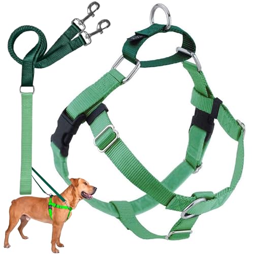2 Hounds Design Freedom No Pull Dog Harness and Leash, 1" MD, Neon Green - color: Neon Green, size: 1" MD (Chest 24" - 28")