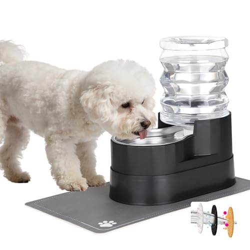 RIZZARI 5L Automatic Cat Water Dispenser: Elevated Filtered Cat Bowl - color: Black, size: 5L