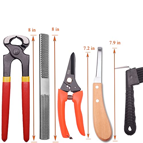 Farrier Tool Kits - 8 inch Professional Farriers Hoof Nipper Cutter Handle Knife Mini Rasp Hoof File Goat Pig Equine Metal Shears（7 Piece）