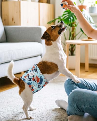 CuteBone Dog Diapers Male 4 Pack Puppy Wraps Reusable Doggie Belly Bands for Male Dogs Small Medium Large - size: M(14"-17")