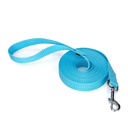 Strong Durable Nylon Dog Training Leash, 1 Inch Wide Traction Rope, 6 ft 10ft 15ft Long, for Small and Medium Dog (Mint Blue, 15 Feet) - color: Mint blue, size: 15 Feet