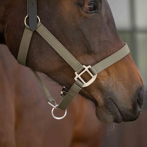 Equinavia Loki Nylon Horse Halter: Breakaway Leather Crown, Adjustable Fit - color: Light Olive, size: Pony
