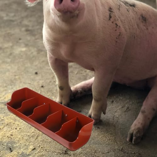 POPETPOP 5-Compartment Piglet Feed Trough Plastic Pig Feeder Manger 21.25X7.08X5.11 Inch Easy to Clean Livestock Feeding Tool for Farm Use - color: 1PC