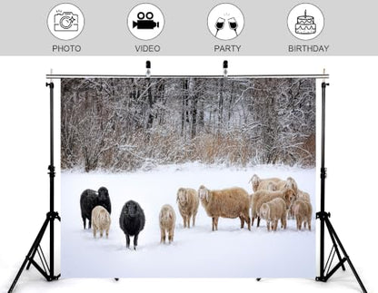 4x4ft Fabric Fabric Winter Snow Sheep Backdrop Mixed Black White Wool Flock Snow Covered Wood White Ground Photography Background Tapestry Party Farm Decorations Banner Photo Booth Props - size: 4x4ft