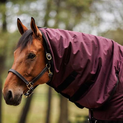 Country Pride Gale Force Midweight Turnout Blanket for Horses, 1680D Waterproof Blanket, 200g Insulation, Adjustable Double Buckle Front, Bias Surcingle, Shoulder Gussets, Tail Cover, Plum/Black (76) - size: 76