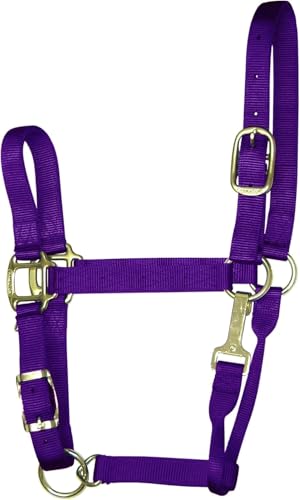 Hamilton Quality Adjustable Horse Halter, 1100-1600 lbs, Purple | Premium Quality 1" Triple Ply Nylon, Large Horse/2 Year Old Draft, Adjustable Chin Strap, Throat Snap, Brass Plated Hardware - color: Purple, size: Large, 1100-1600lbs